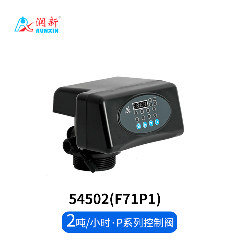 P系列过滤阀54502(F71P1)