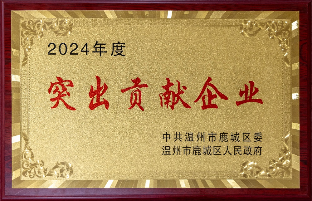 2024年度鹿城区突出贡献企业