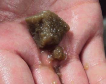 301.有机物污染后的树脂 .jpg